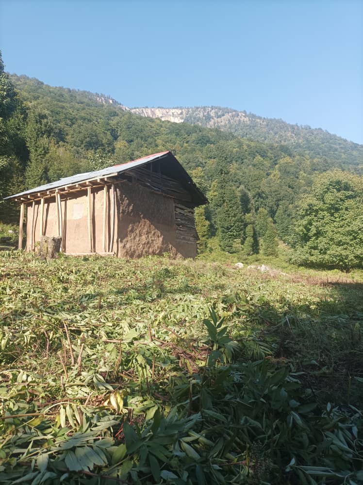 رزرو آنلاین اقامتگاه