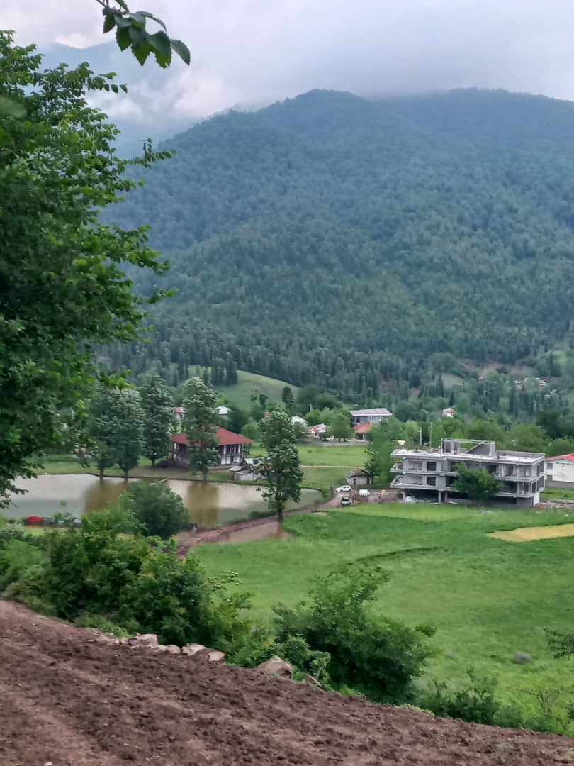 گالری تصاویر