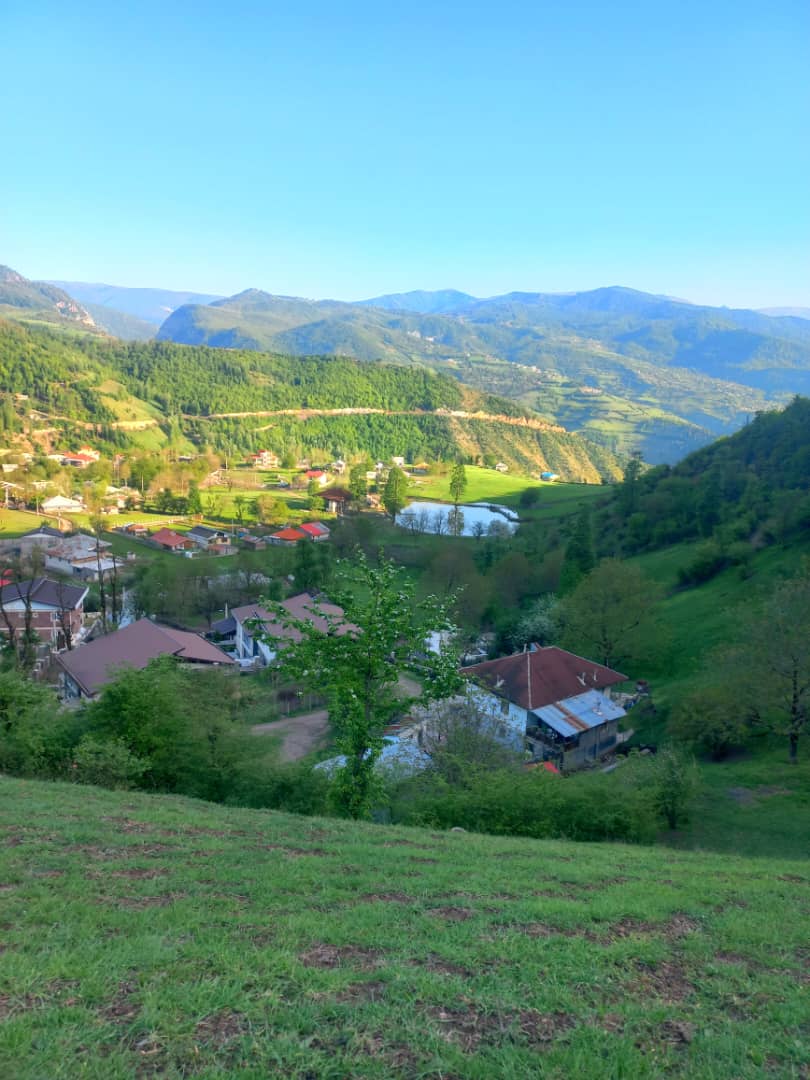 گالری تصاویر