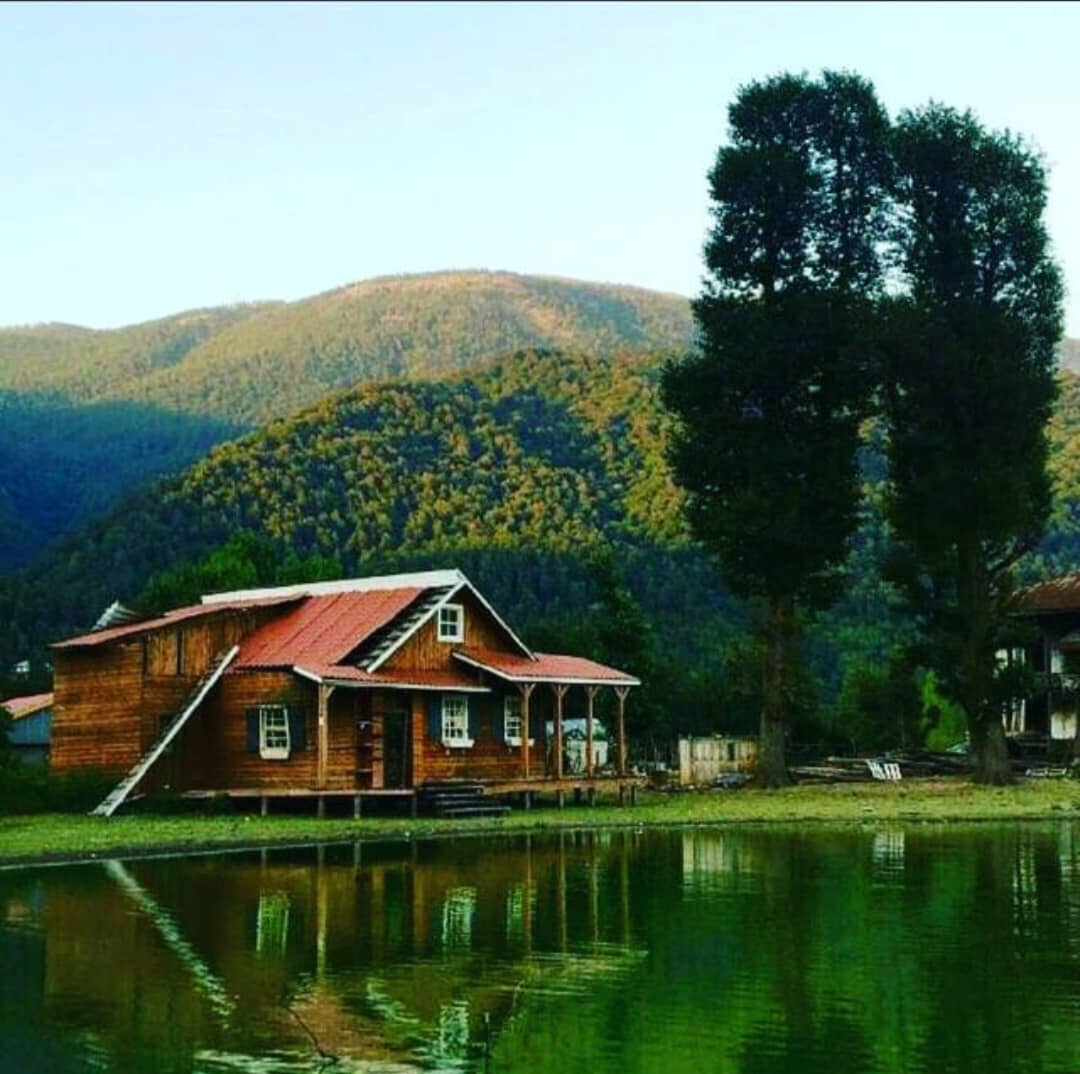 گالری تصاویر