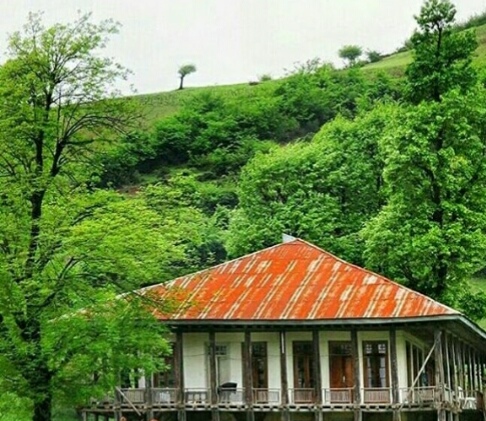 گالری تصاویر